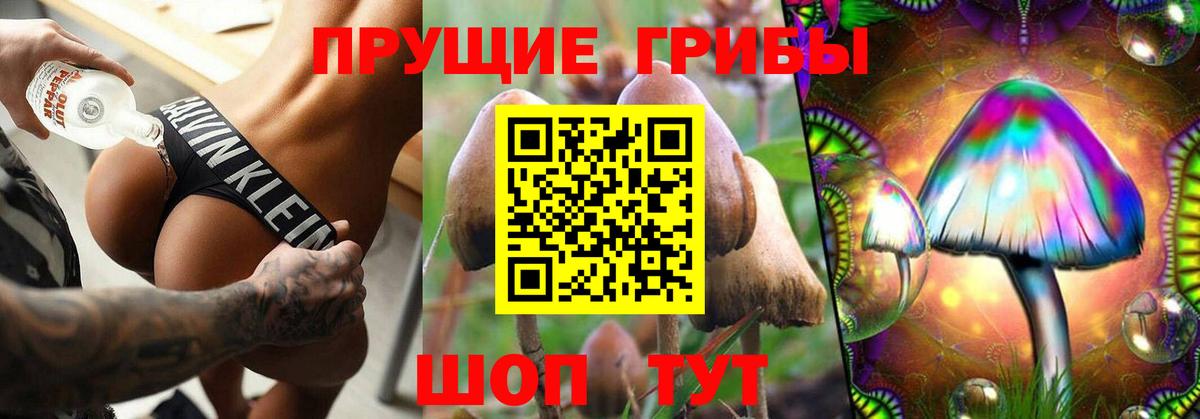 Батайск  Псилоцибиновые грибы MAGIC MUSHROOMS  Галлюциногенные грибы мухоморы  Вход с VPN 
